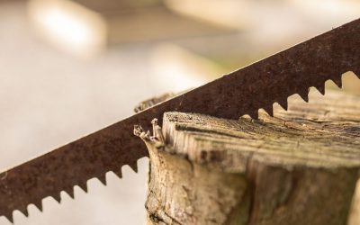 A Comprehensive Guide to Different Types of Saws